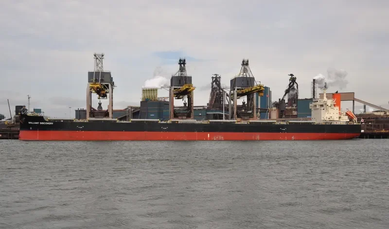 BRILLIANT DISCOVERY Bulk Carrier IMO 9687734 photo 4