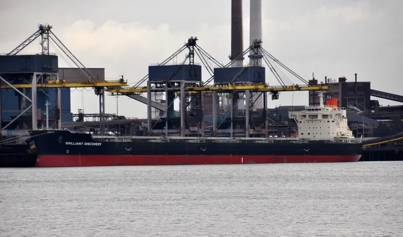 BRILLIANT DISCOVERY Bulk Carrier IMO 9687734 photo 5