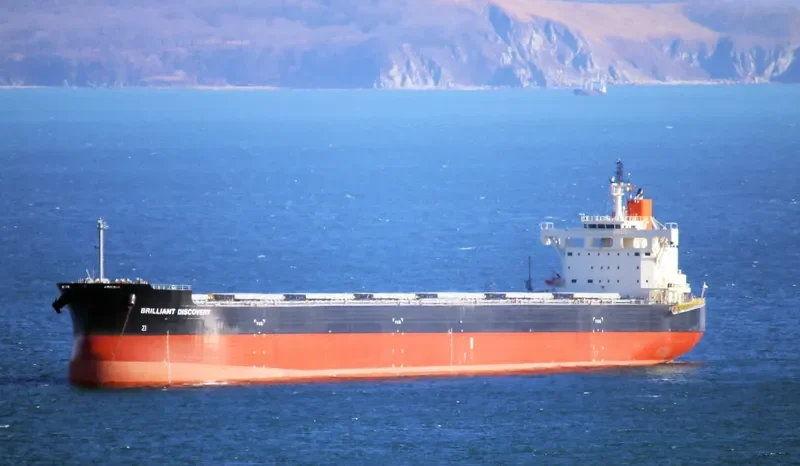 BRILLIANT DISCOVERY Bulk Carrier IMO 9687734 photo 6