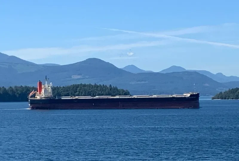 BRILLIANT DISCOVERY Bulk Carrier IMO 9687734 photo 7