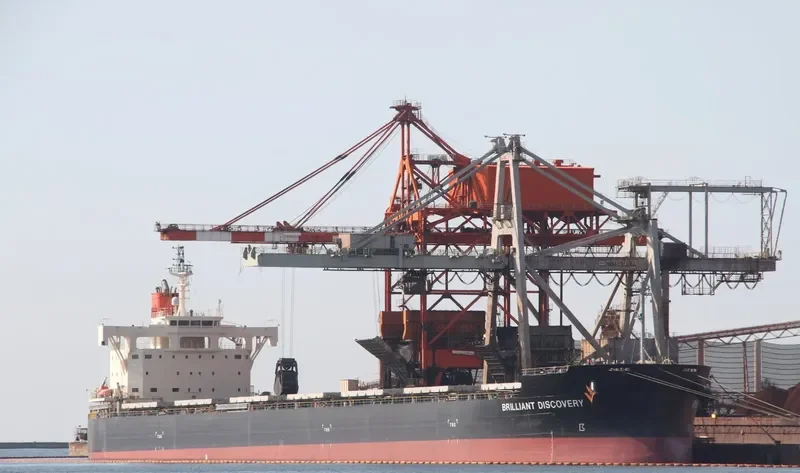 BRILLIANT DISCOVERY Bulk Carrier IMO 9687734 photo 8