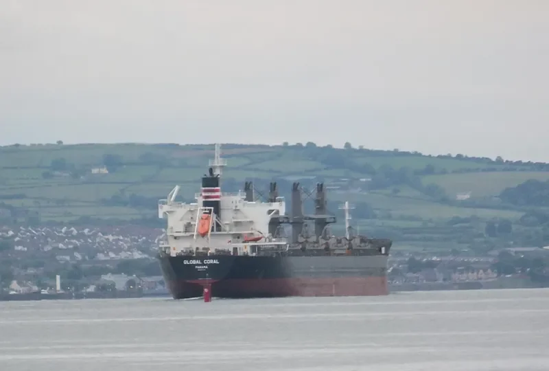 GLOBAL CORAL Bulk Carrier IMO 9687746 photo 3