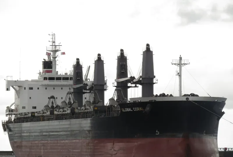GLOBAL CORAL Bulk Carrier IMO 9687746 photo 4