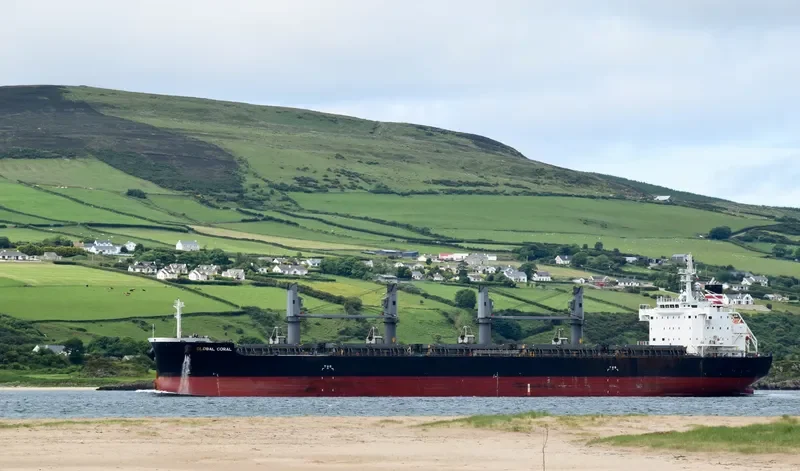 GLOBAL CORAL Bulk Carrier IMO 9687746 photo 5