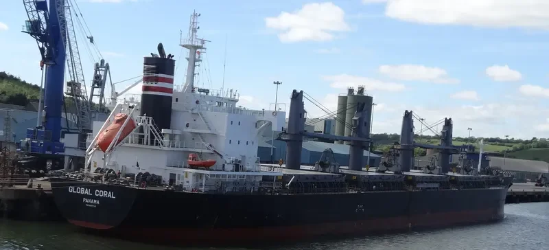 GLOBAL CORAL Bulk Carrier IMO 9687746 photo 7