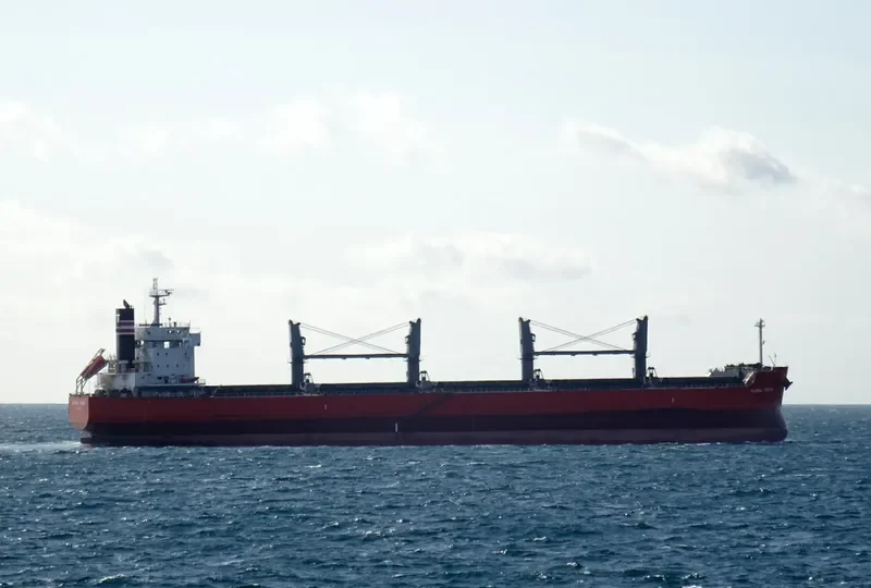 GLOBAL VISION Bulk Carrier IMO 9687758
