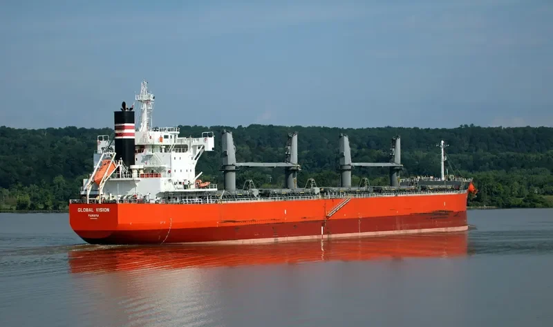 GLOBAL VISION Bulk Carrier IMO 9687758 photo 3