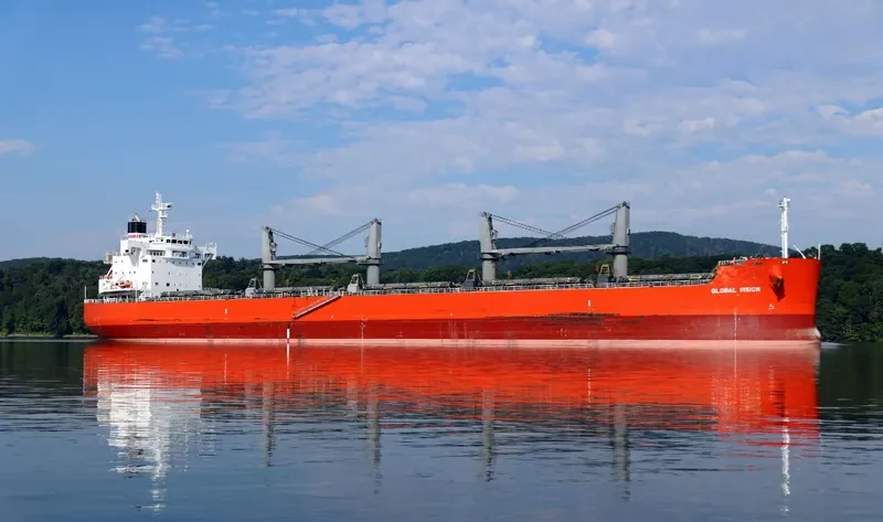 GLOBAL VISION Bulk Carrier IMO 9687758 photo 4