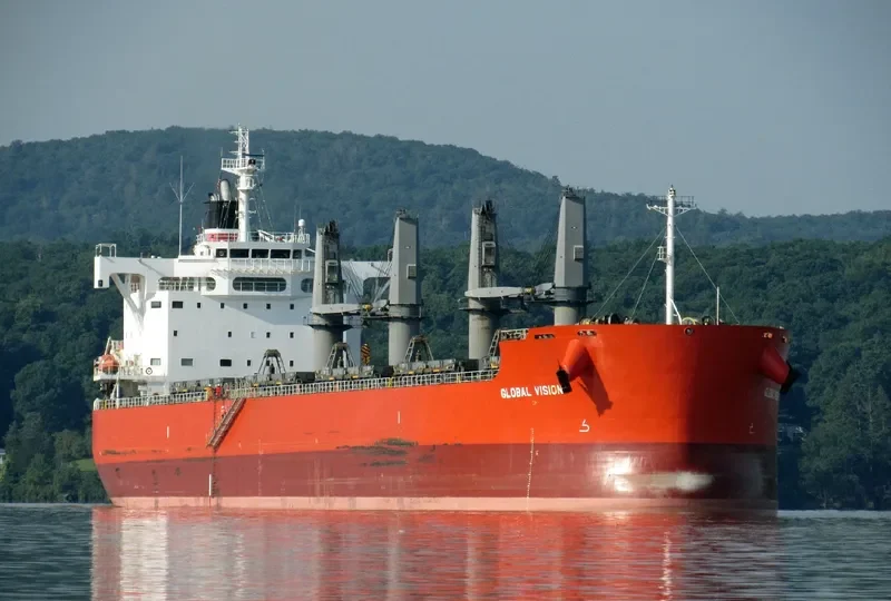 GLOBAL VISION Bulk Carrier IMO 9687758 photo 5
