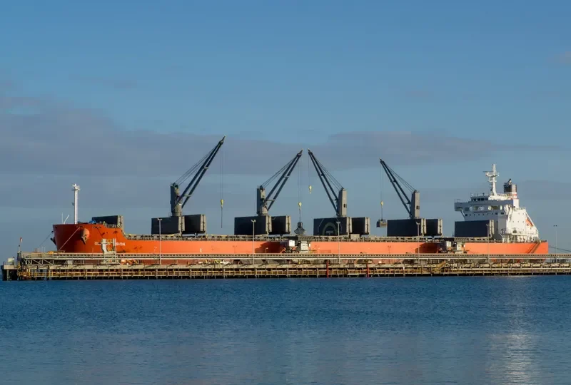 GLOBAL VISION Bulk Carrier IMO 9687758 photo 8
