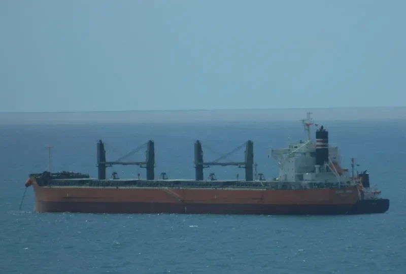 GLOBAL VEGA Bulk Carrier IMO 9687760
