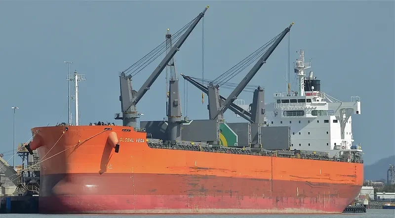 GLOBAL VEGA Bulk Carrier IMO 9687760 photo 3