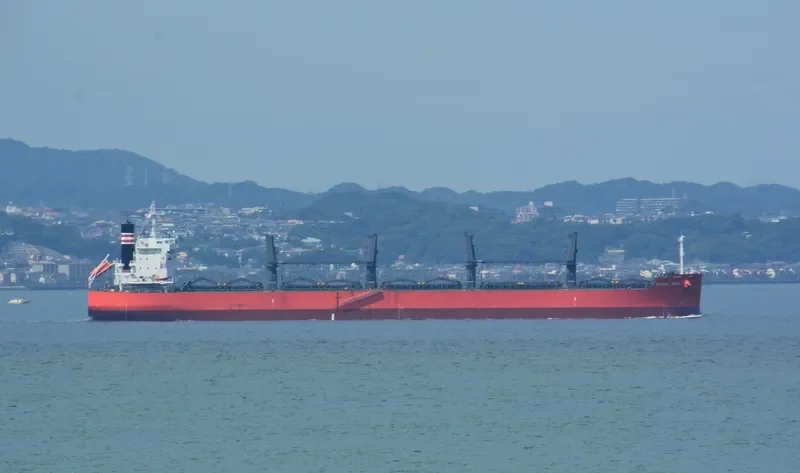 GLOBAL VEGA Bulk Carrier IMO 9687760 photo 4
