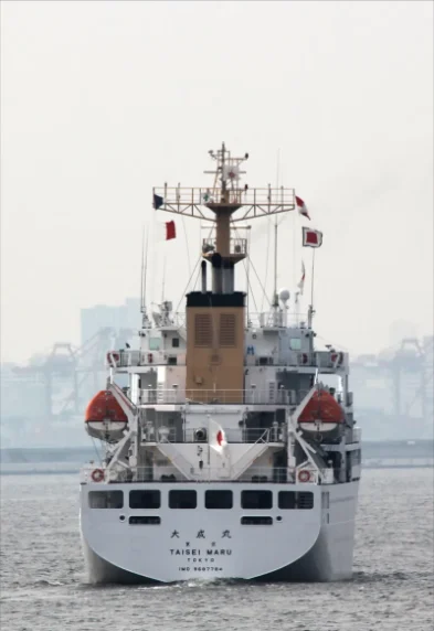 TAISEI MARU General Cargo IMO 9687784