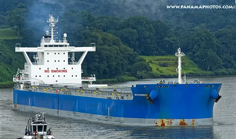 MARINA I Bulk Carrier IMO 9687837