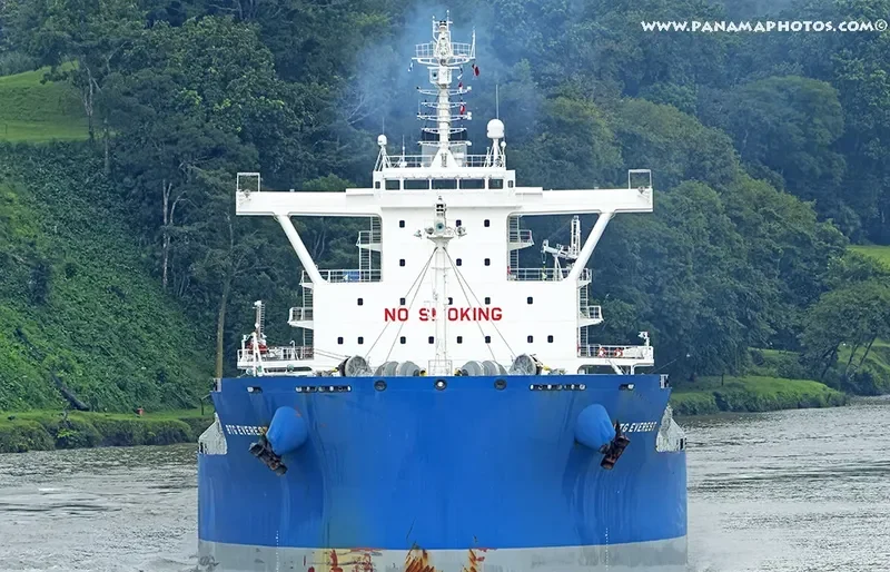 MARINA I Bulk Carrier IMO 9687837 photo 2