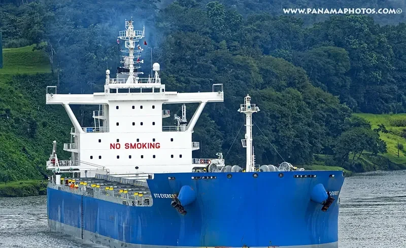 MARINA I Bulk Carrier IMO 9687837 photo 3