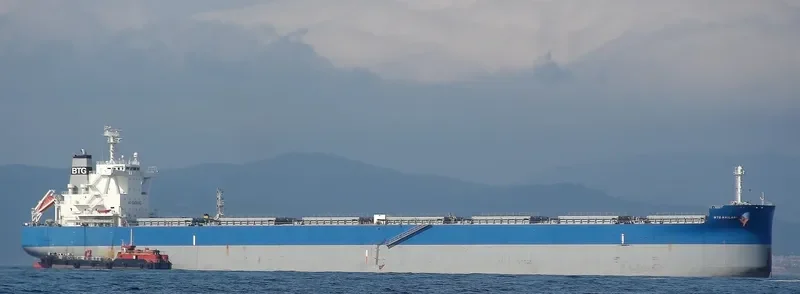 BTG KAILASH Bulk Carrier IMO 9687849 photo 6