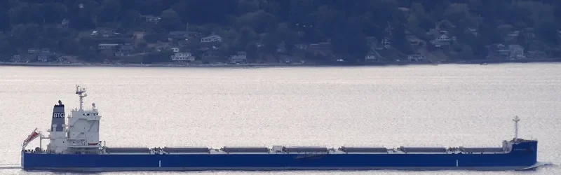 BTG KAILASH Bulk Carrier IMO 9687849 photo 7