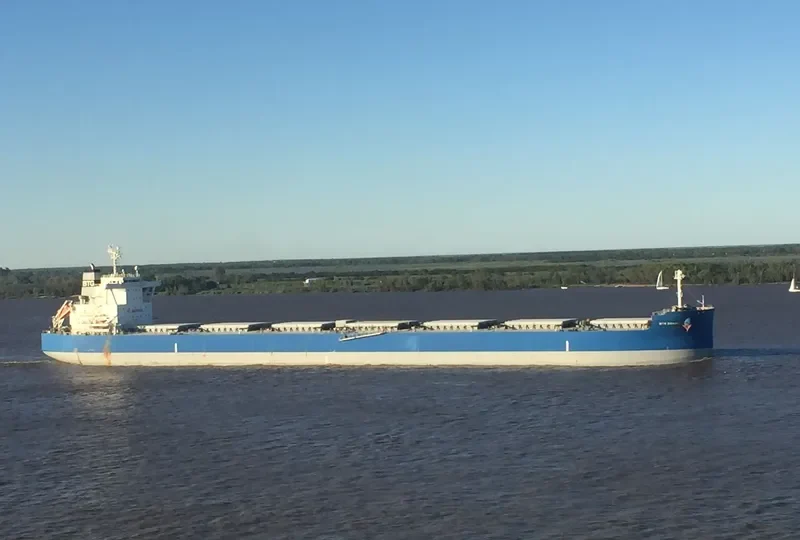 BTG DENALI Bulk Carrier IMO 9687851