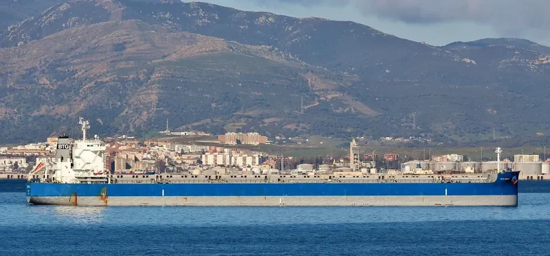 BTG DENALI Bulk Carrier IMO 9687851 photo 3