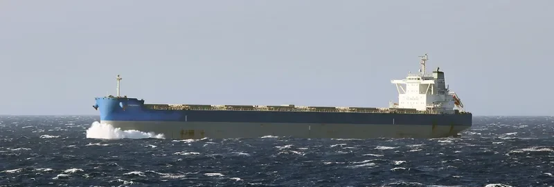 BTG DENALI Bulk Carrier IMO 9687851 photo 4