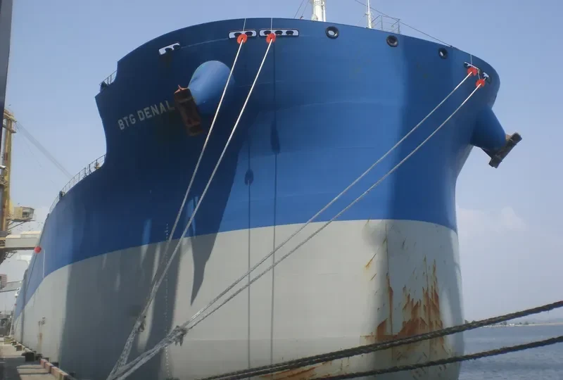 BTG DENALI Bulk Carrier IMO 9687851 photo 5