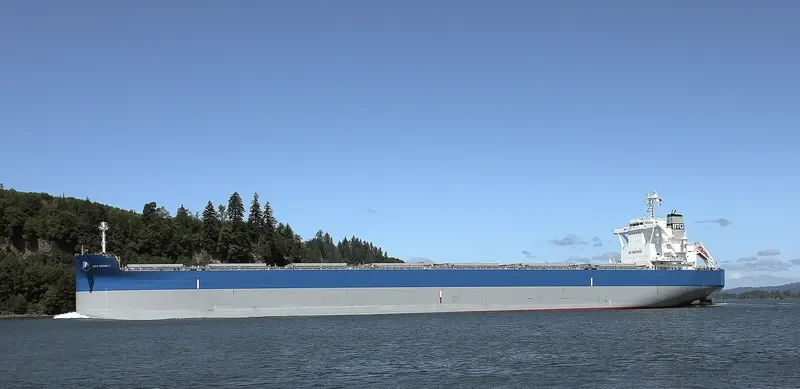 BTG DENALI Bulk Carrier IMO 9687851 photo 10