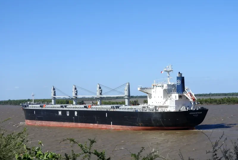 AFRICAN BATELEUR Bulk Carrier IMO 9688219