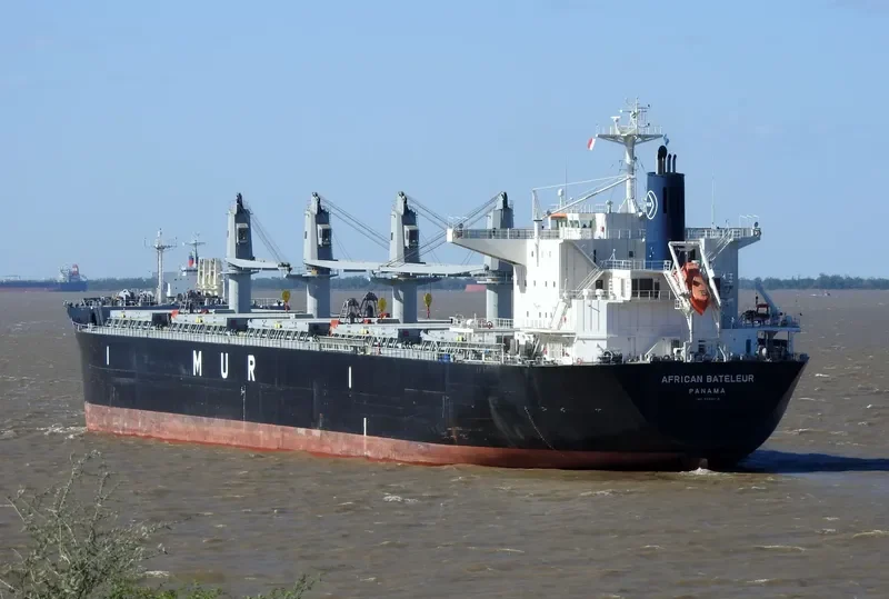 AFRICAN BATELEUR Bulk Carrier IMO 9688219 photo 2
