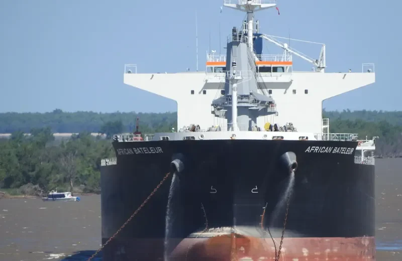 AFRICAN BATELEUR Bulk Carrier IMO 9688219 photo 5