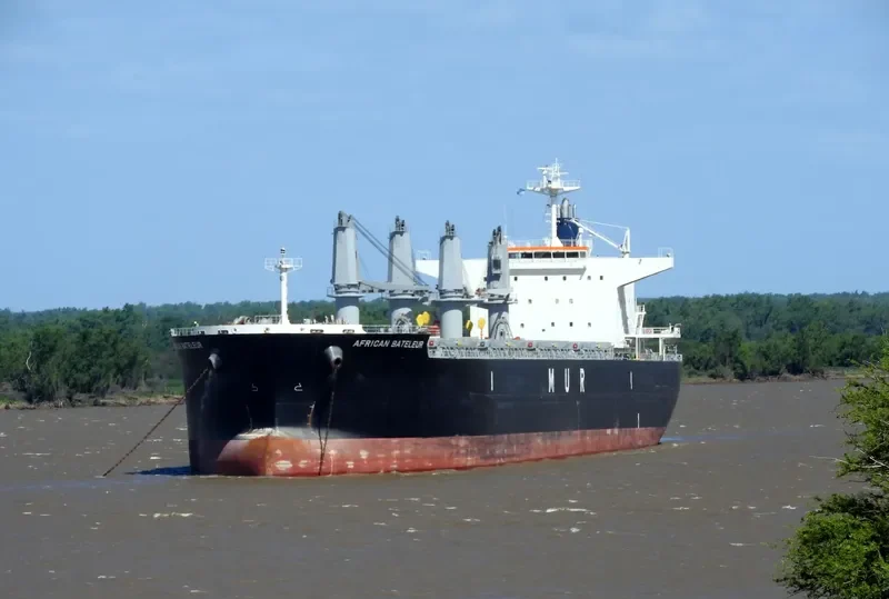 AFRICAN BATELEUR Bulk Carrier IMO 9688219 photo 6