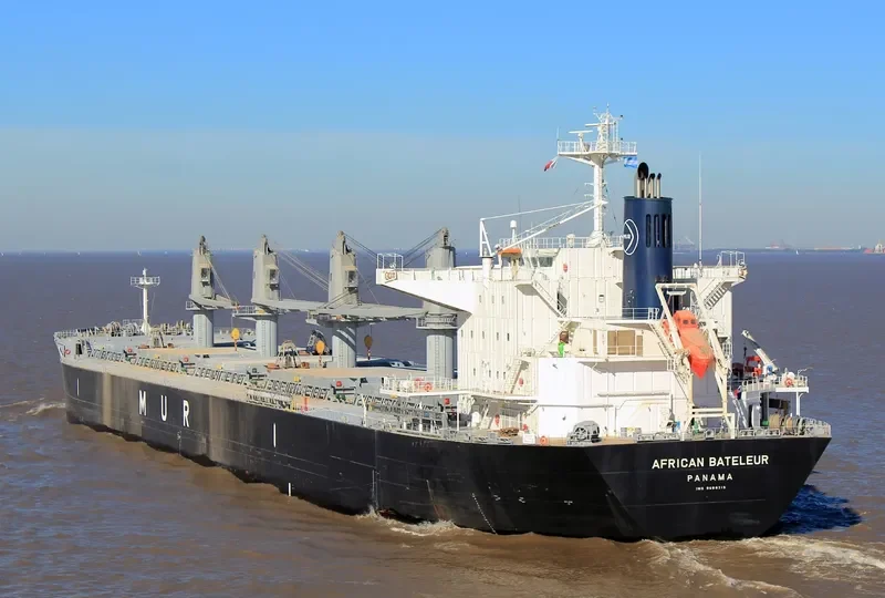 AFRICAN BATELEUR Bulk Carrier IMO 9688219 photo 7
