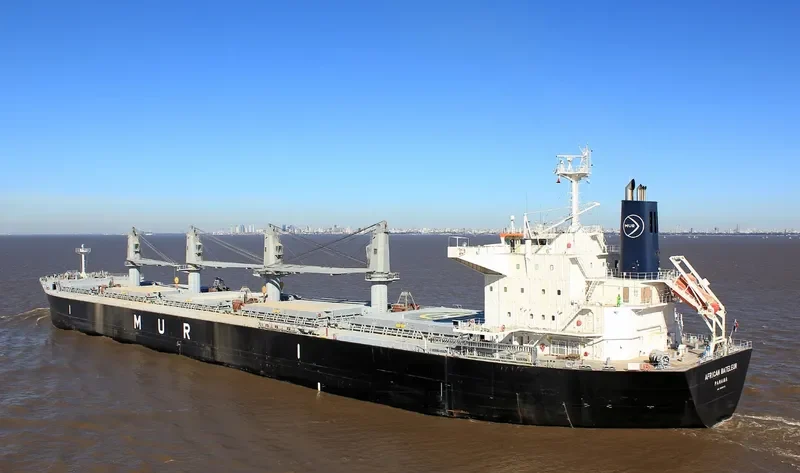 AFRICAN BATELEUR Bulk Carrier IMO 9688219 photo 8