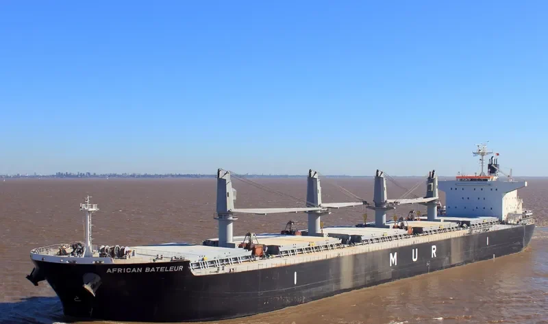 AFRICAN BATELEUR Bulk Carrier IMO 9688219 photo 9