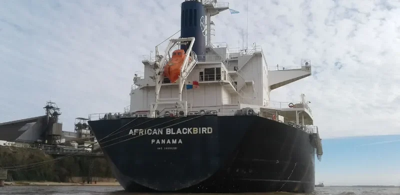 AFRICAN BLACKBIRD Bulk Carrier IMO 9688221