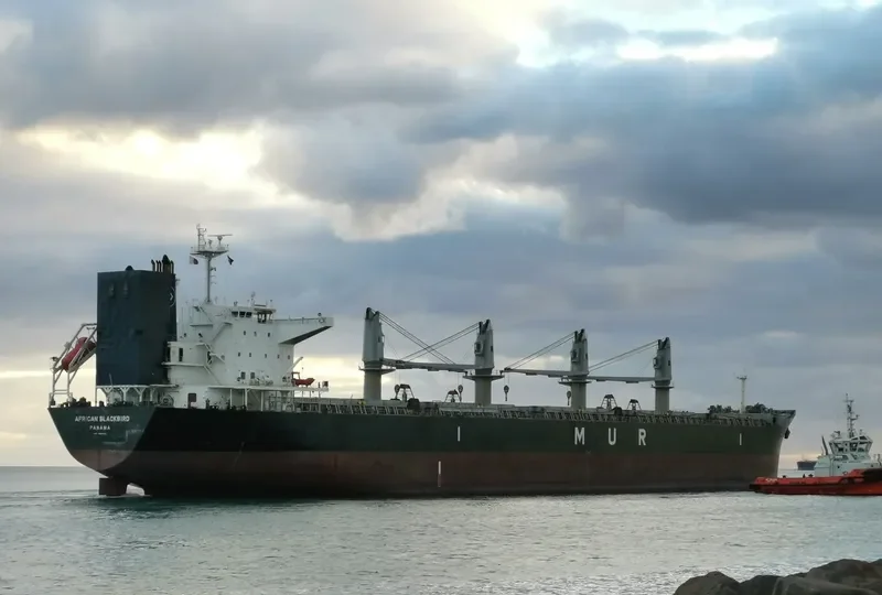 AFRICAN BLACKBIRD Bulk Carrier IMO 9688221 photo 2