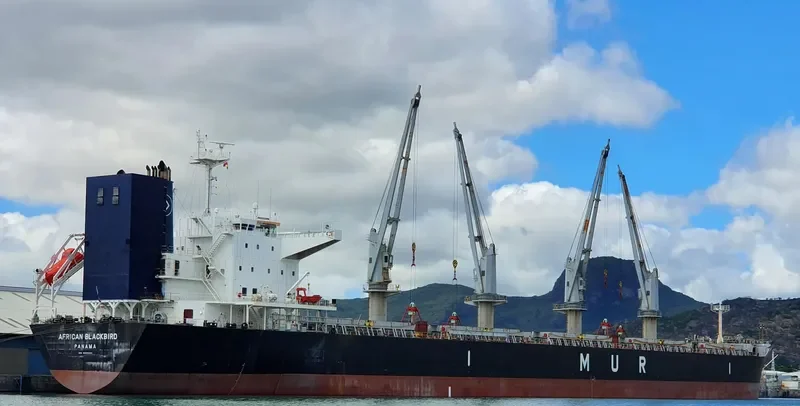 AFRICAN BLACKBIRD Bulk Carrier IMO 9688221 photo 3