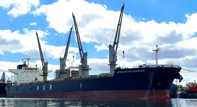AFRICAN BLACKBIRD Bulk Carrier IMO 9688221 photo 4