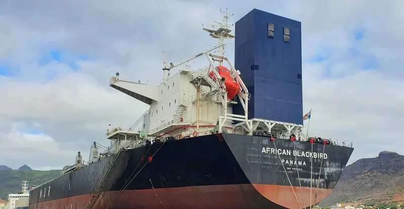 AFRICAN BLACKBIRD Bulk Carrier IMO 9688221 photo 5