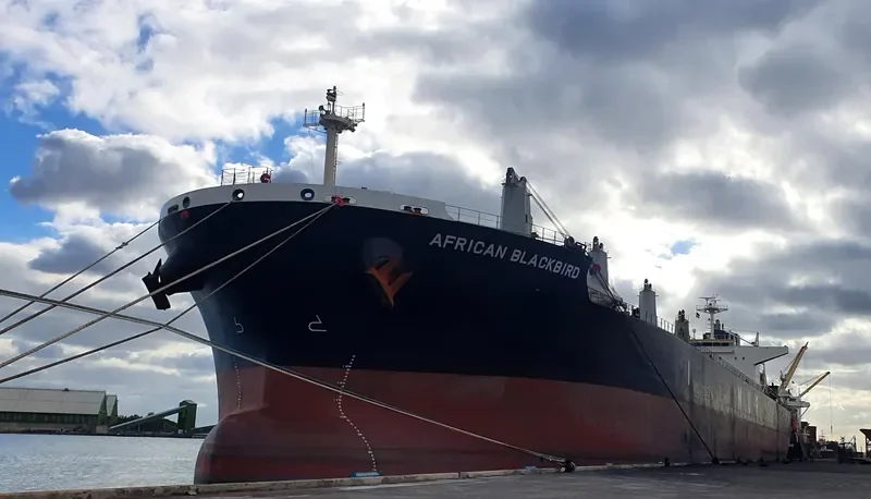 AFRICAN BLACKBIRD Bulk Carrier IMO 9688221 photo 6