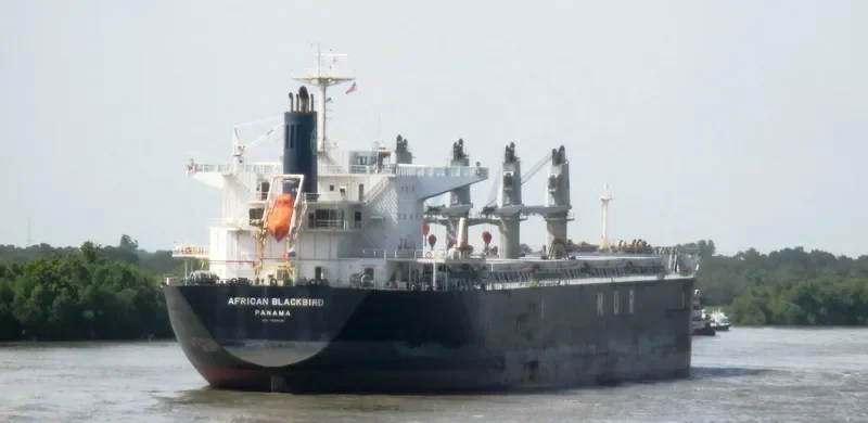AFRICAN BLACKBIRD Bulk Carrier IMO 9688221 photo 7