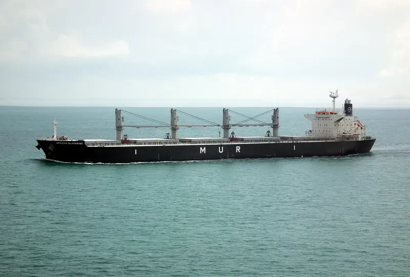 AFRICAN BLACKBIRD Bulk Carrier IMO 9688221 photo 8