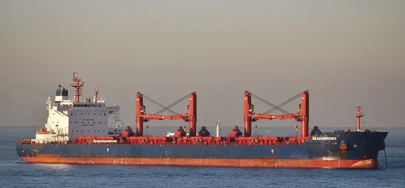 SEAHARMONY Bulk Carrier IMO 9688635