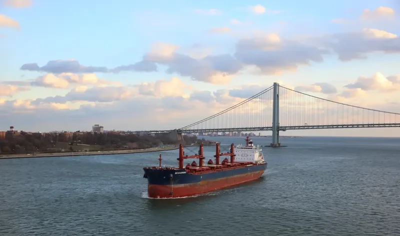 SEAHARMONY Bulk Carrier IMO 9688635 photo 2