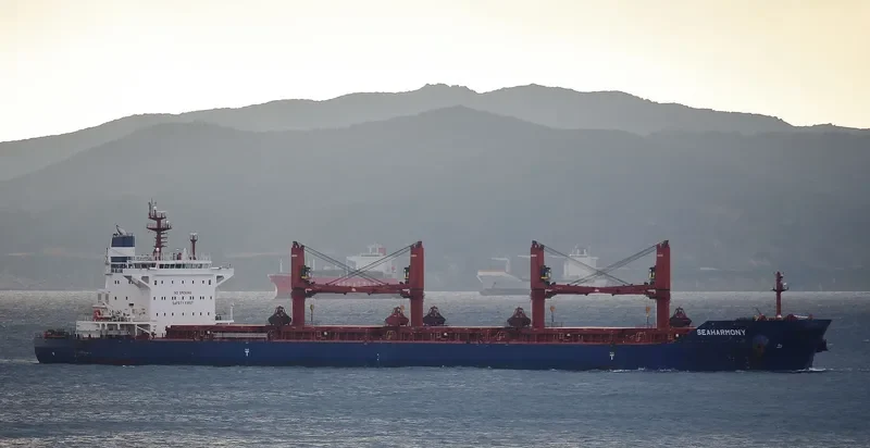 SEAHARMONY Bulk Carrier IMO 9688635 photo 3