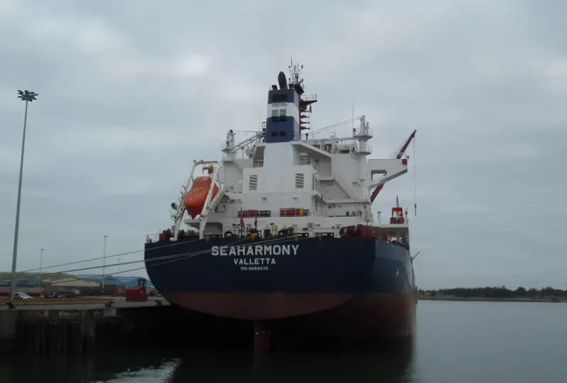 SEAHARMONY Bulk Carrier IMO 9688635 photo 4