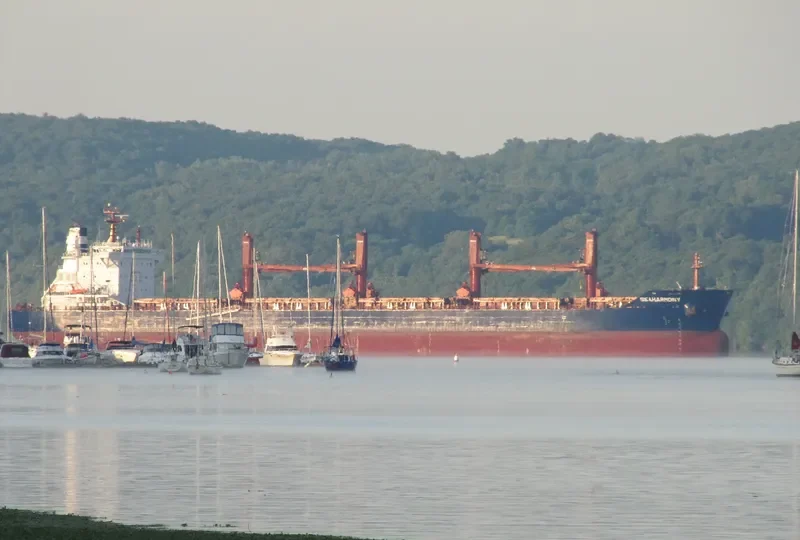 SEAHARMONY Bulk Carrier IMO 9688635 photo 5