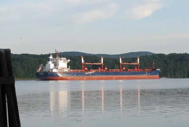 SEAHARMONY Bulk Carrier IMO 9688635 photo 6