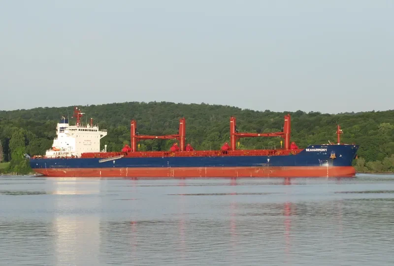 SEAHARMONY Bulk Carrier IMO 9688635 photo 7